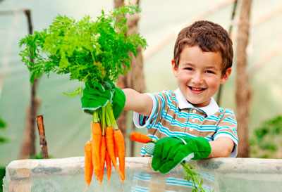 детские загадки про фрукты, овощи и ягоды для детского сада