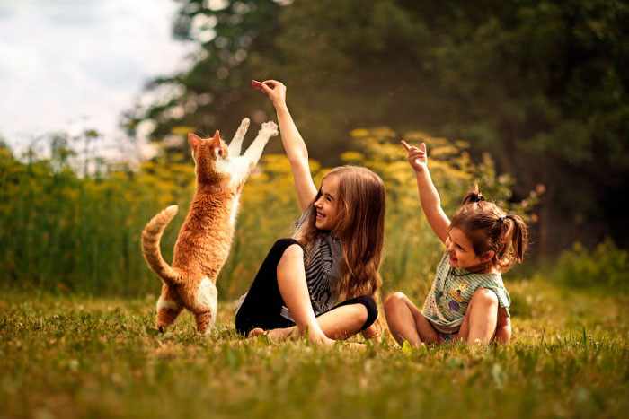 дети и кот