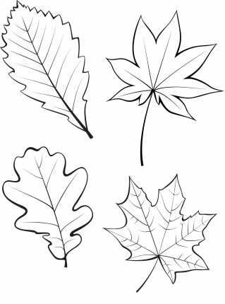 осенние листья для вырезания из бумаги 12