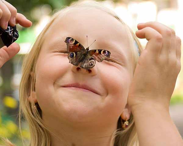 детские загадки про насекомых