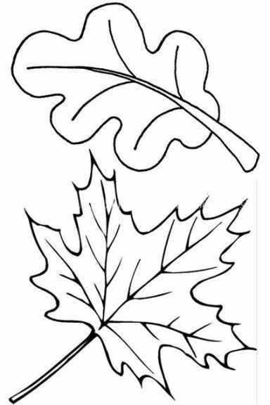 осенние листья для вырезания из бумаги 11