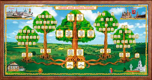 Как составить генеалогическое древо семьи: программы