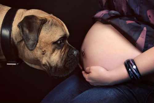 Фотосессия беременных: лучшие идеи для воплощения 2