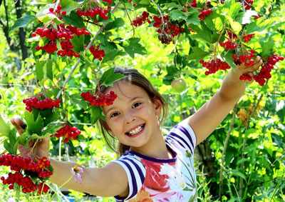 Загадки про фрукты, овощи и ягоды для детей школьного возраста