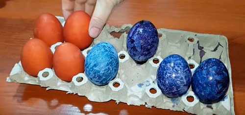 покрасить яйца чаем каркаде фото