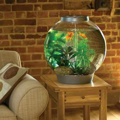 аквариум для увлажнения воздуха в квартире