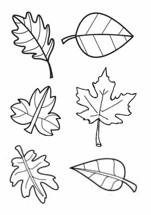 осенние листья из бумаги для оформления 2