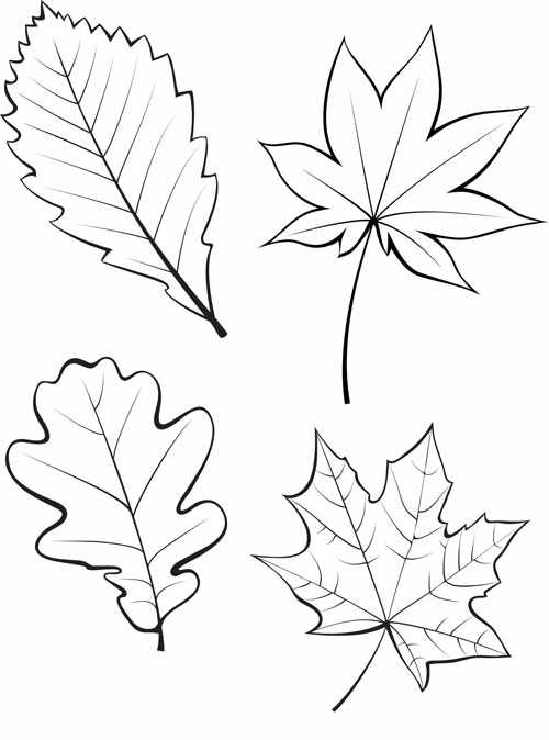 осенние листья из бумаги для оформления 4