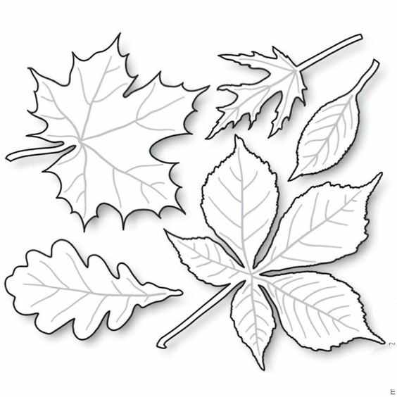 осенние листья для вырезания из бумаги 16