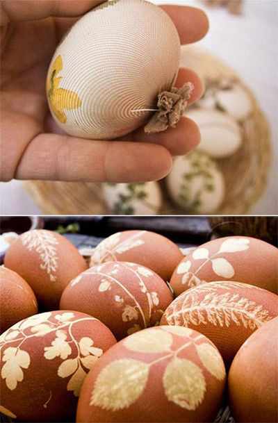 Покрасить яйца с помощью луковой шелухи и листьев 2