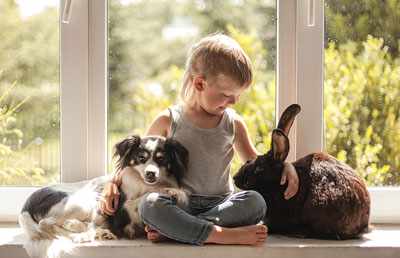 польза домашних животных для человека для детей