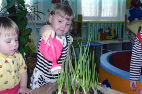 Девочка поливает лук на комнатном огороде