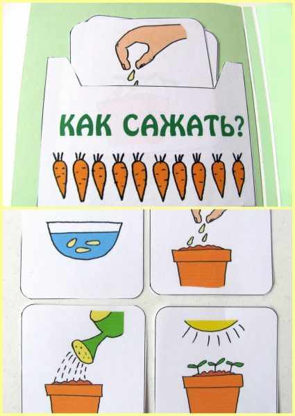 Карточки «Как сажать растение»
