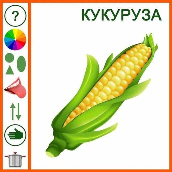 Игра «Опиши овощ» (карточка с изображение кукурузы)