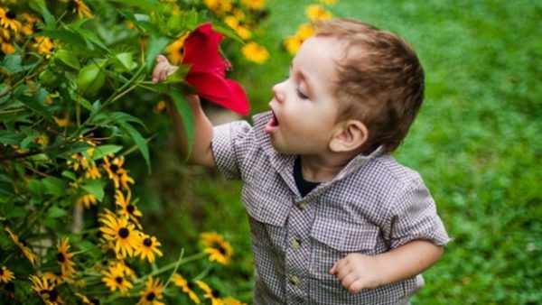Ребёнок нюхает цветок