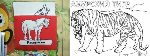 Конверт с ракрасками, амурский тигр (картинка для раскрашивания)