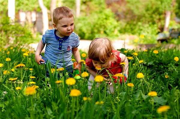 Дети на улице нюхают цветы