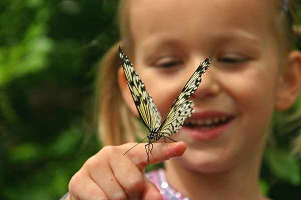 Бабочка на руке у девочки
