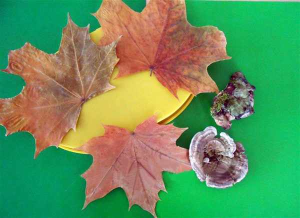 Основа (круглая пластиковая крышка), грибы и листья