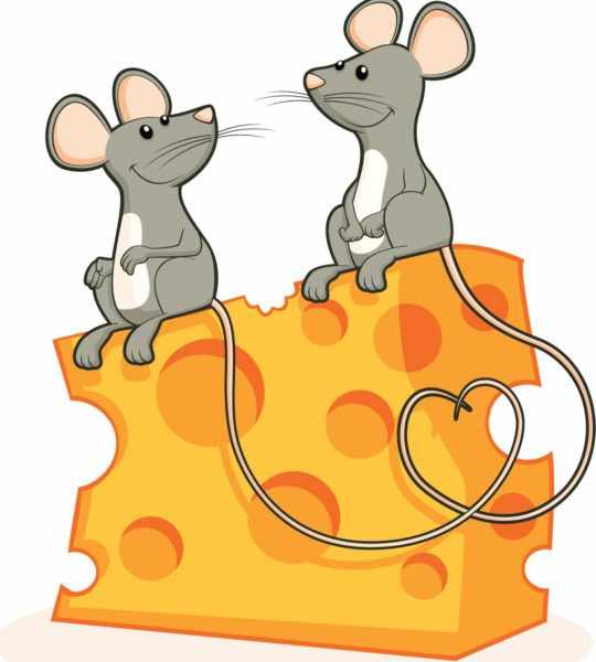 Две мыши сидят на куске сыра