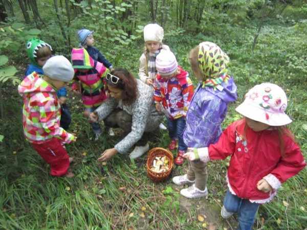 Дети и воспитатель рассматривают растения в лесу