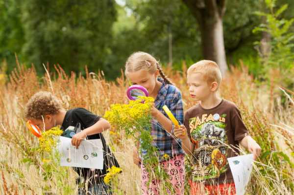 Дети рассматривают растения через лупу