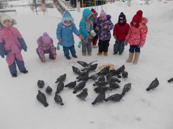 Дошкольники на прогулке кормят голубей