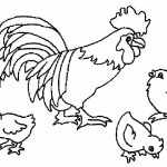 Раскраска Петух и цыплята