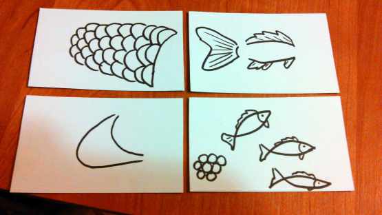 На листах бумаги изображены части тела рыбы, икринки и мальки