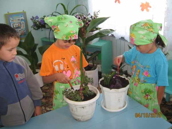 Две девочки в фартуках и косынках ухаживают за комнатными растениями, мальчик наблюдает