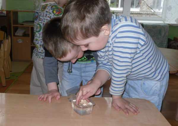 Два мальчика экспериментируют с водой
