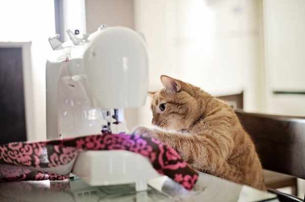 Кошка сидит за швейной машинкой