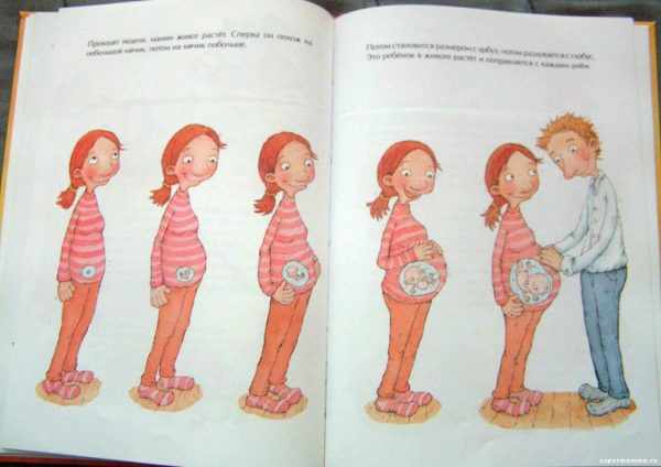 Иллюстрация в книге: как растёт живот у мамы
