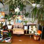 Эколуголок: передвижной столик с полочками, на которых цветы, наглядность, слева — аквариум,цветы на высоких стойках