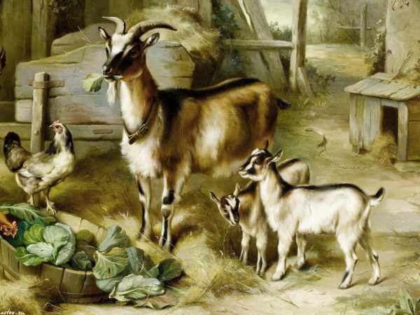Картина «Коза с козлятами»