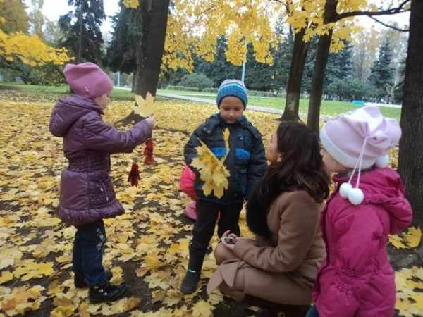 Дети показывают воспитателю собранные кленовые листья в парке