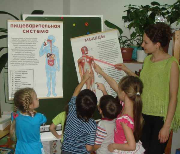 Дети изучают строение тела человека