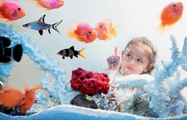 Девочка наблюдает за рыбками, плавающими в аквариуме
