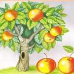 Яблоки на дереве задание по математике