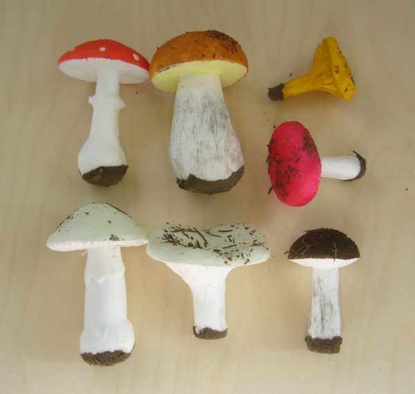 Муляжи грибов