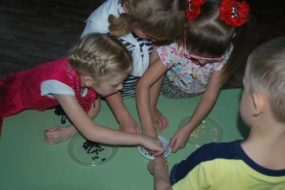 Три девочки и мальчик сортируют крупу по тарелочкам