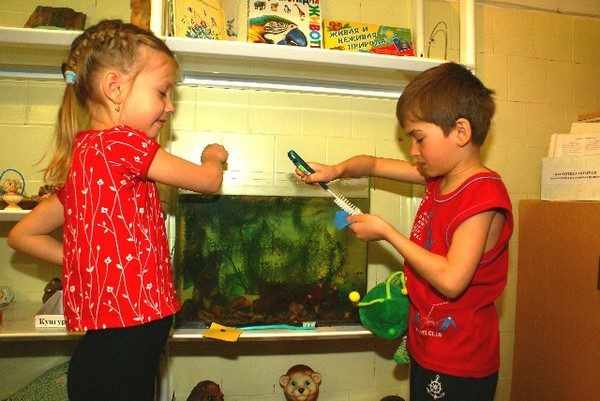 Мальчик и девочка ухаживают за рыбками в аквариуме