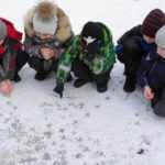 Пятеро детей рассматривают следы птиц на снегу