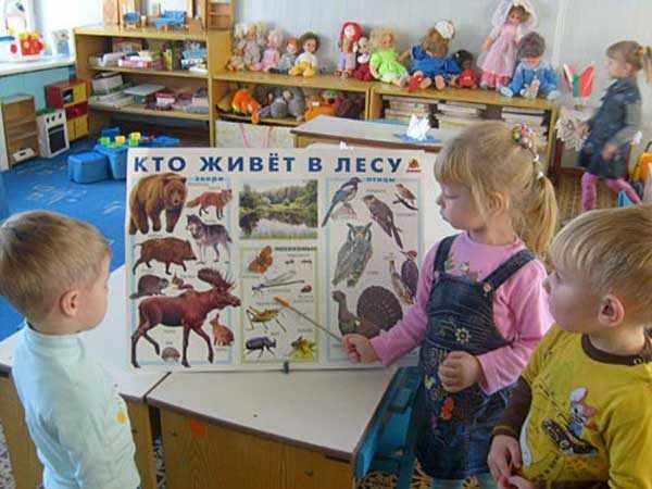 Девочка показывает мальчикам насекомых на плакате