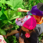 Дети в летней одежде рассматривают овощи на грядке
