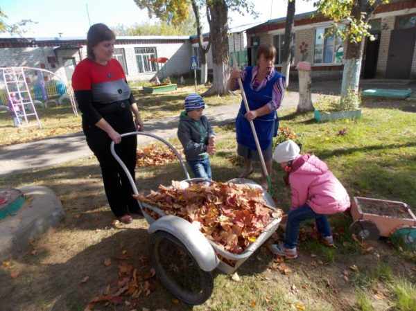 Дети нагружают телегу педагога листвой во дворе