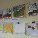 Выставка детских рисунков «От зёрнышка до хлебушка»