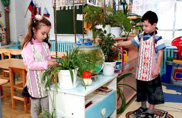 Дети ухаживают за растениями