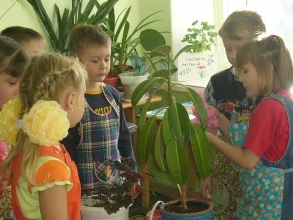 Дети стоят в фартуках возле комнатного растения