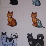 Картинки с кошками и собаками